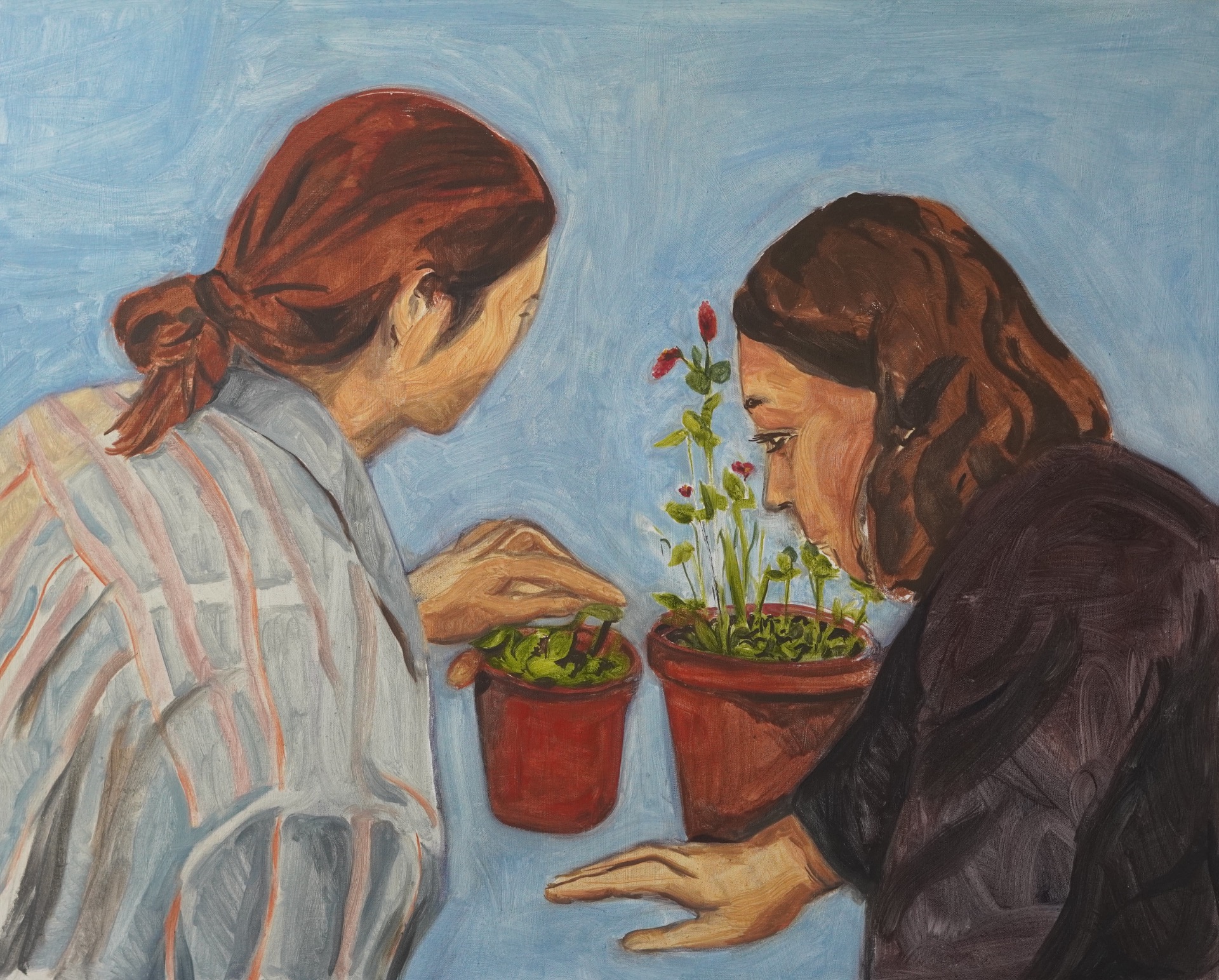 Plants can speak, 2025, huile sur toile, 70 x 80 cm